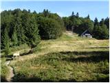 Bohinjsko sedlo - Planina Za Črno goro